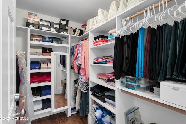 15 Monmouth Ave, Rumson, NJ 07760 - spacious closet with wood finished floors
