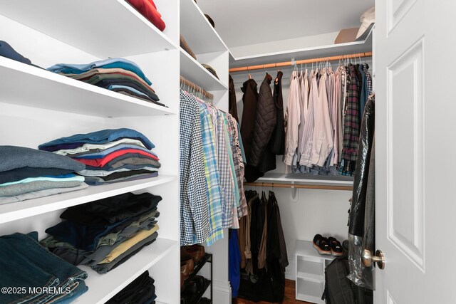 15 Monmouth Ave, Rumson, NJ 07760 - view of spacious closet