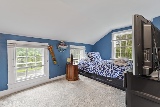 14 S Holmdel Rd, Holmdel, NJ 07733 - carpeted bedroom with lofted ceiling and multiple windows