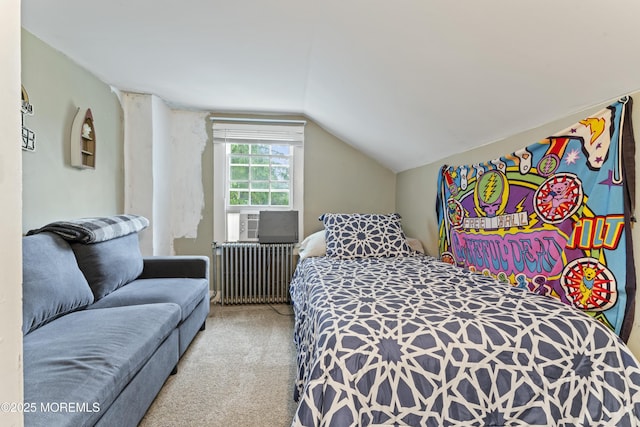 14 S Holmdel Rd, Holmdel, NJ 07733 - carpeted bedroom with radiator and vaulted ceiling
