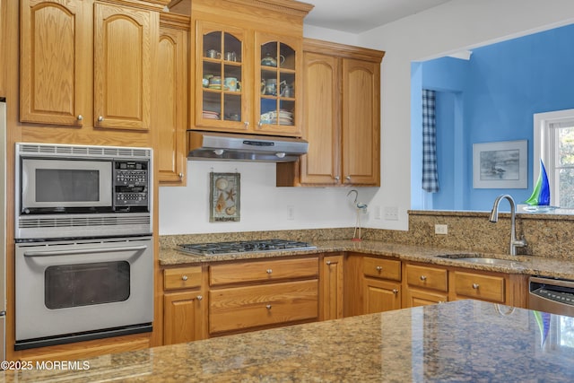kitchen featuring glass insert cabinets, stone countertops, under cabinet range hood, appliances with stainless steel finishes, and a sink