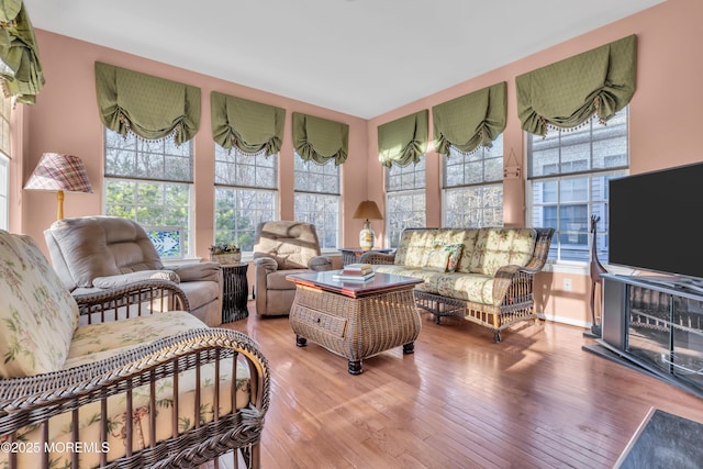 living room with hardwood / wood-style floors