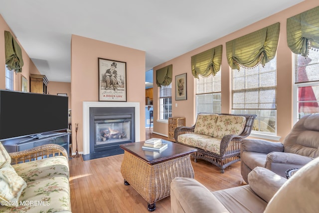 living area with a glass covered fireplace and wood finished floors