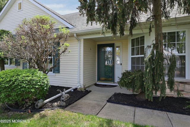 doorway to property featuring roof with shingles