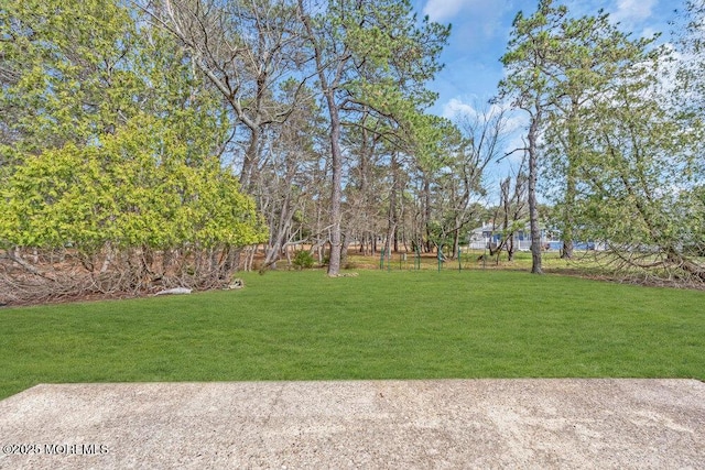 view of yard