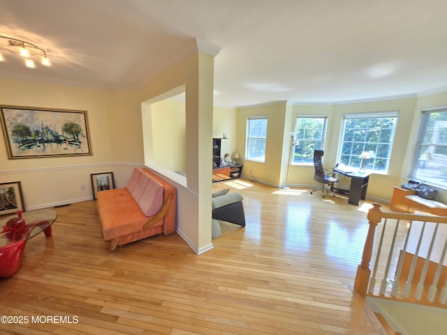 3 Great Beds Way S, Amboy, NJ 08879 - hall featuring light wood-style flooring, crown molding, plenty of natural light, baseboards, and track lighting