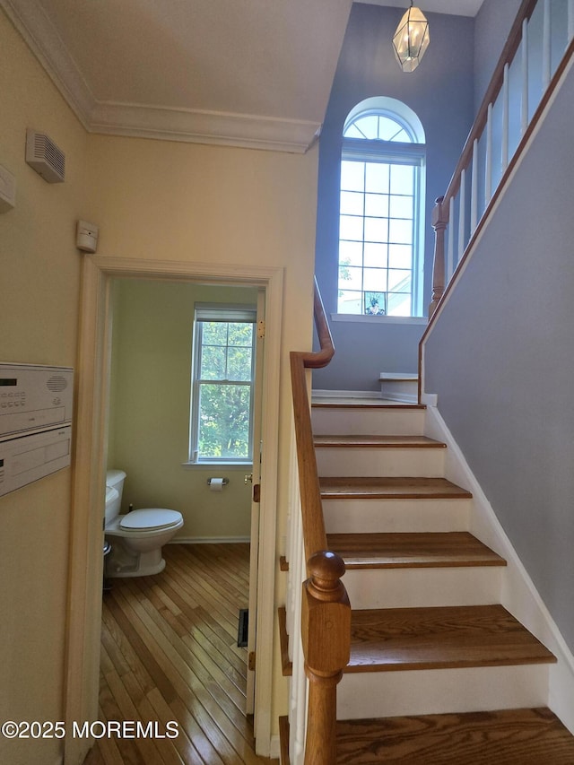 3 Great Beds Way S, Amboy, NJ 08879 - staircase with hardwood / wood-style floors, ornamental molding, and baseboards