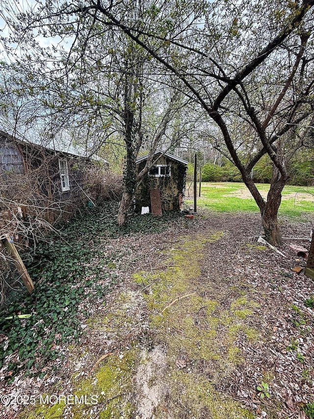 view of yard with an outdoor structure