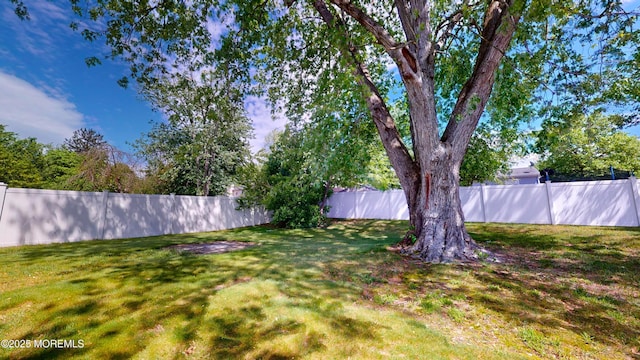 18 Forest Valley Dr, Toms River, NJ 08755 - view of yard
