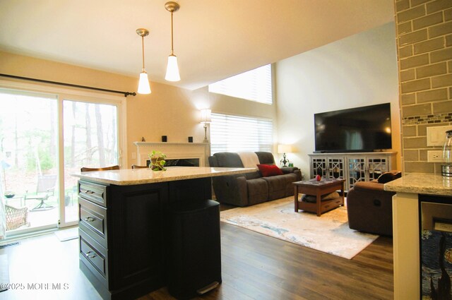 living room featuring dark wood-type flooring and a fireplace