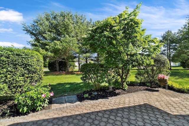 1507 Primrose Pl, Manasquan, NJ 08736 - view of patio