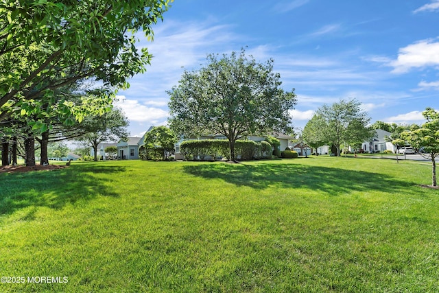 1507 Primrose Pl, Manasquan, NJ 08736 - view of green lawn
