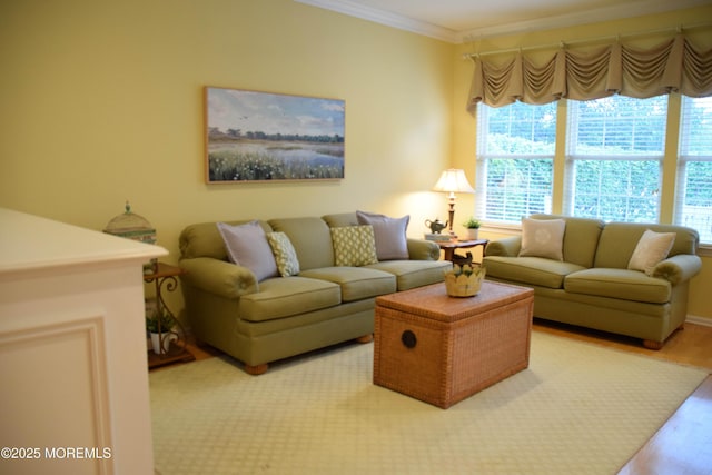 1507 Primrose Pl, Manasquan, NJ 08736 - living room with healthy amount of natural light, crown molding, and light wood-style floors
