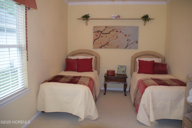 1507 Primrose Pl, Manasquan, NJ 08736 - carpeted bedroom with crown molding and multiple windows