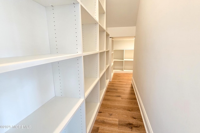 walk in closet featuring wood finished floors