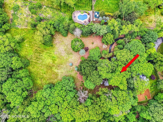 94 Topanemus Ln, Freehold, NJ 07728 - aerial view of property's location featuring a pool area