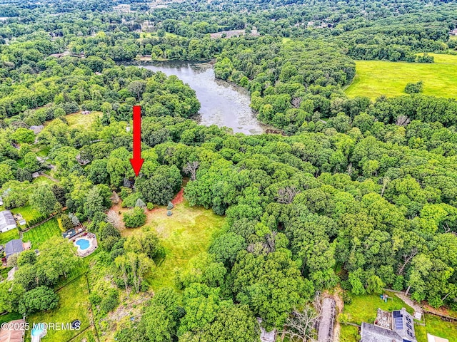 94 Topanemus Ln, Freehold, NJ 07728 - view of property location featuring a nearby body of water and a forest