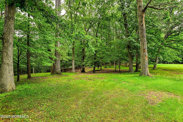 94 Topanemus Ln, Freehold, NJ 07728 - view of green lawn featuring a forest view