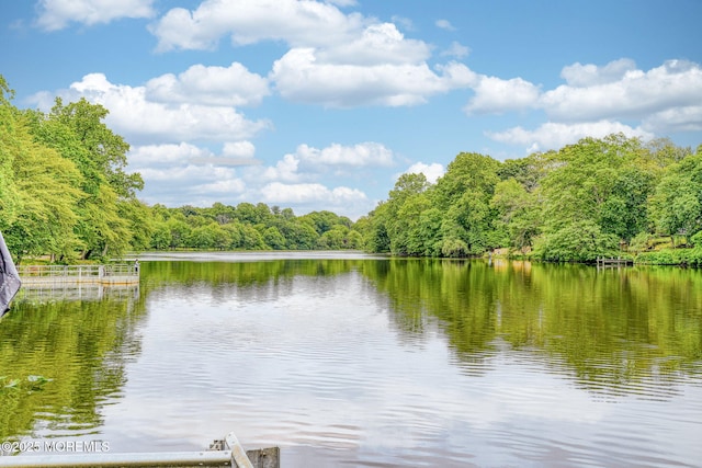 94 Topanemus Ln, Freehold, NJ 07728 - water view with a heavily wooded area