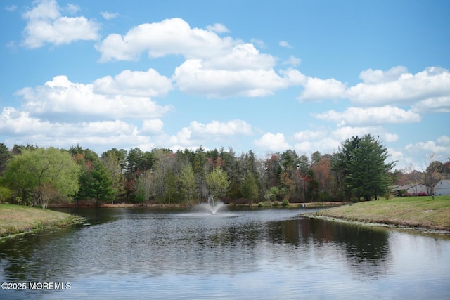 property view of water