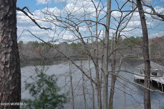 view of water feature