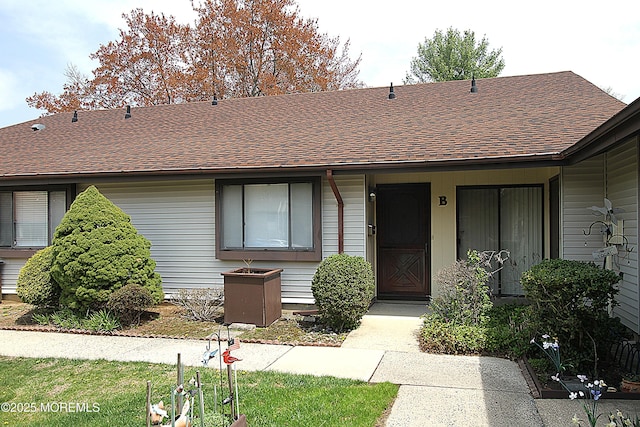 view of front of house featuring roof with shingles