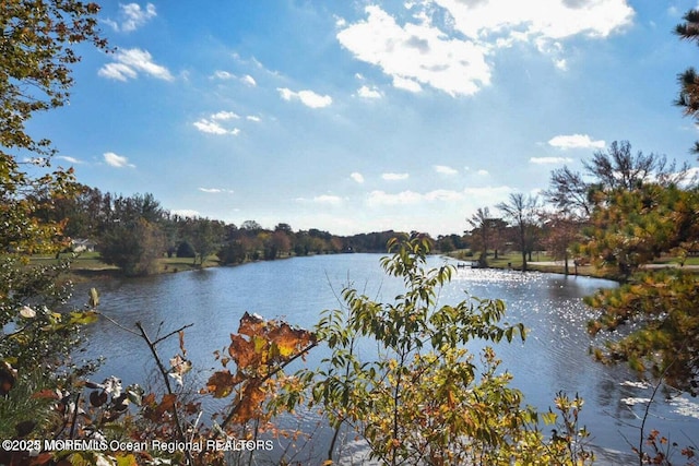 60 Central Blvd, Brick, NJ 08724 - photo 21