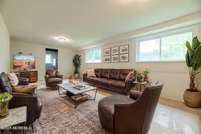 20 Telegraph Hill Rd, Holmdel, NJ 07733 - view of carpeted living area