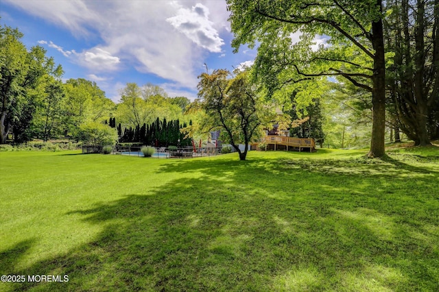 4 Briarcliff Ln, Holmdel, NJ 07733 - view of yard