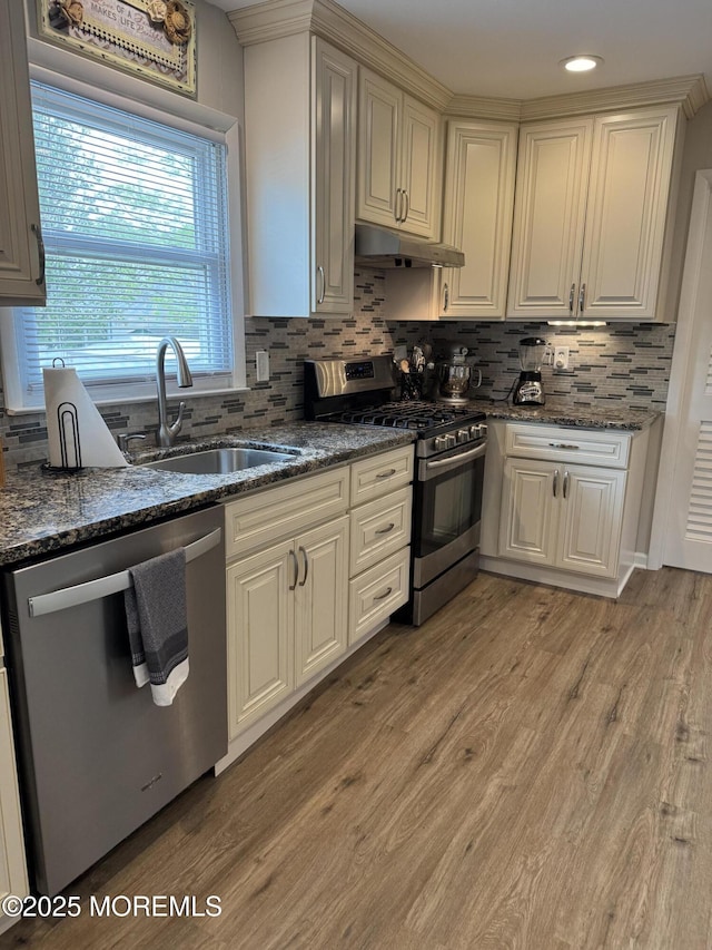 kitchen with under cabinet range hood, a sink, light wood finished floors, backsplash, and stainless steel appliances