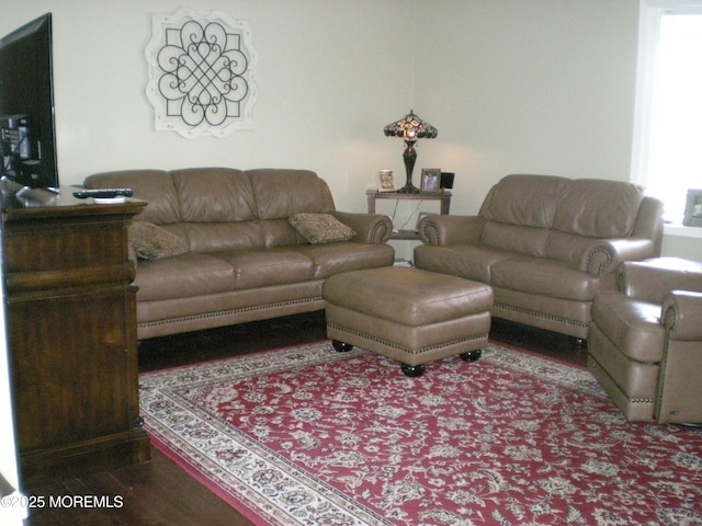 living area with wood finished floors