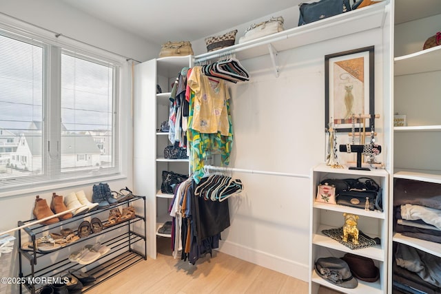 spacious closet featuring wood finished floors
