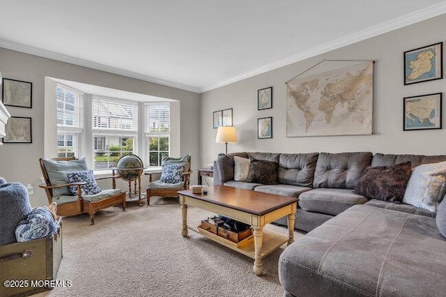 carpeted living area featuring ornamental molding