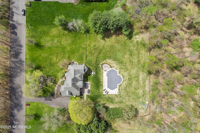 drone / aerial view