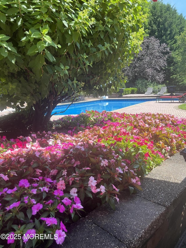 1476 W Front St, Lincroft, NJ 07738 - view of swimming pool