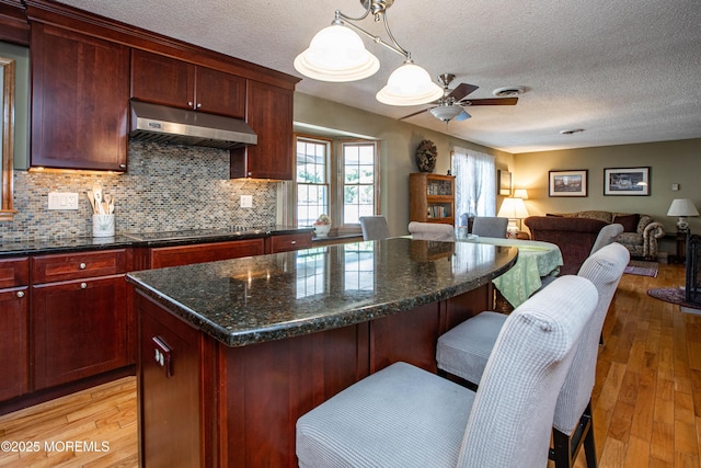 12 Millstream Rd, Cream Ridge, NJ 08514 - kitchen featuring a textured ceiling, under cabinet range hood, ceiling fan, open floor plan, and reddish brown cabinets