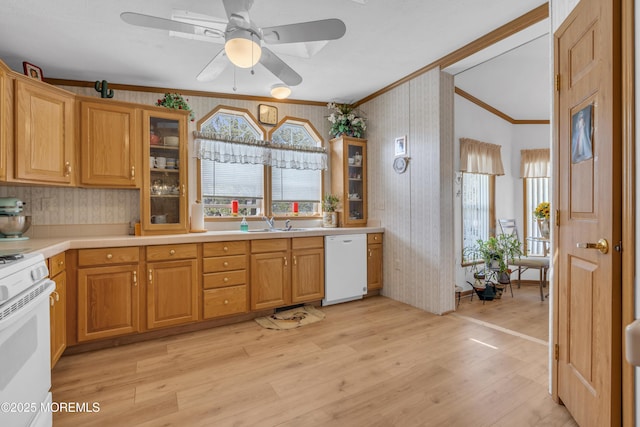 kitchen featuring a ceiling fan, a sink, light wood-style floors, white appliances, and ornamental molding
