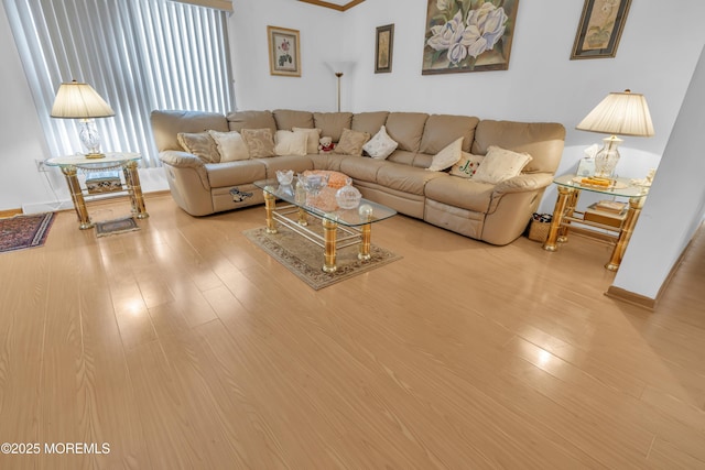 living room featuring wood finished floors