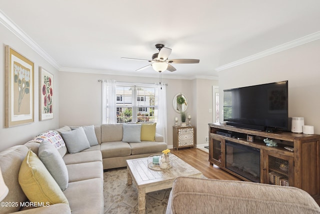 living area featuring crown molding, baseboards, a ceiling fan, and wood finished floors