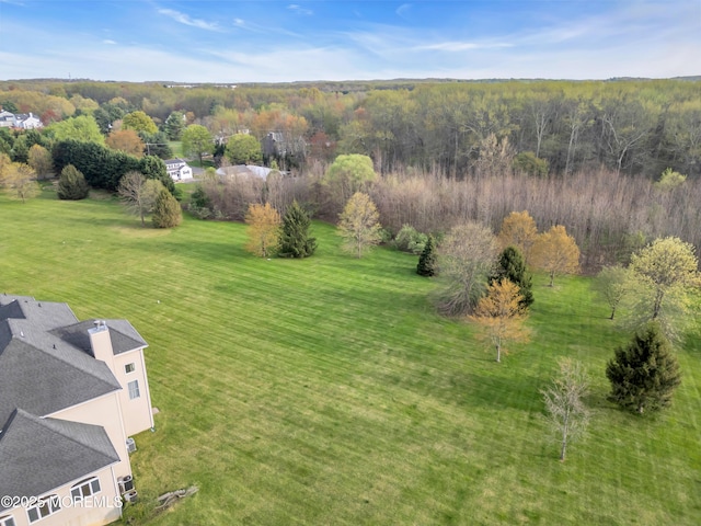 3 Scenic Way, Monroe, NJ 08831 - drone / aerial view with a forest view