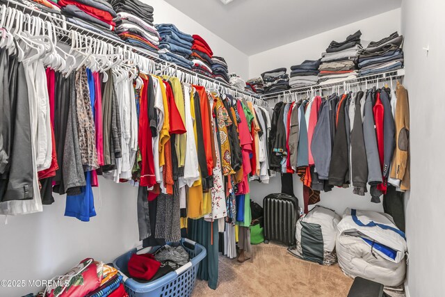 30 Frost Ln, East Windsor, NJ 08520 - spacious closet with carpet flooring