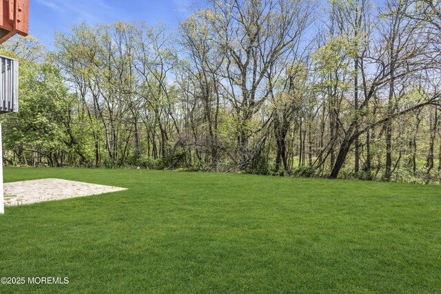 30 Frost Ln, East Windsor, NJ 08520 - view of yard featuring a patio area