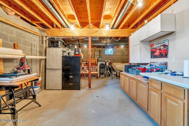 unfinished below grade area featuring concrete block wall