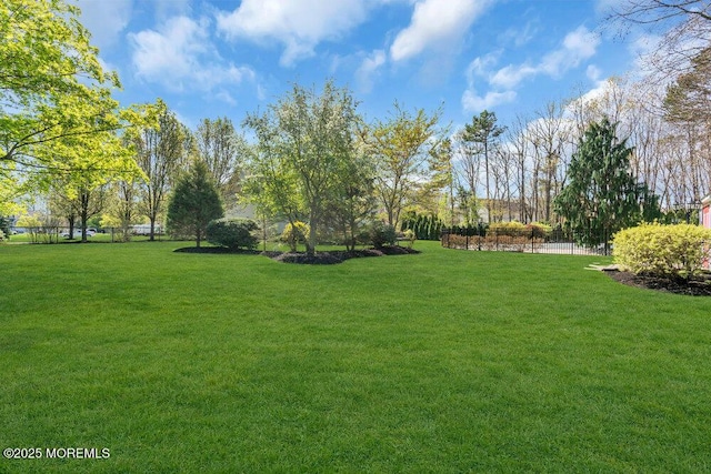 view of yard