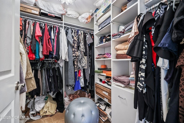 191 Robertsville Rd, Freehold, NJ 07728 - walk in closet with carpet