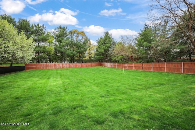 191 Robertsville Rd, Freehold, NJ 07728 - view of yard featuring fence
