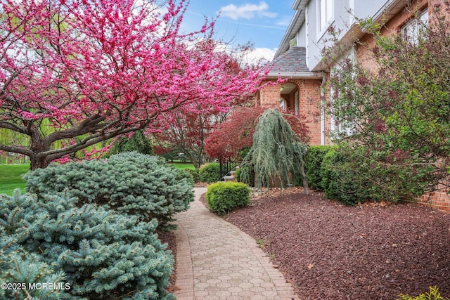 191 Robertsville Rd, Freehold, NJ 07728 - view of yard