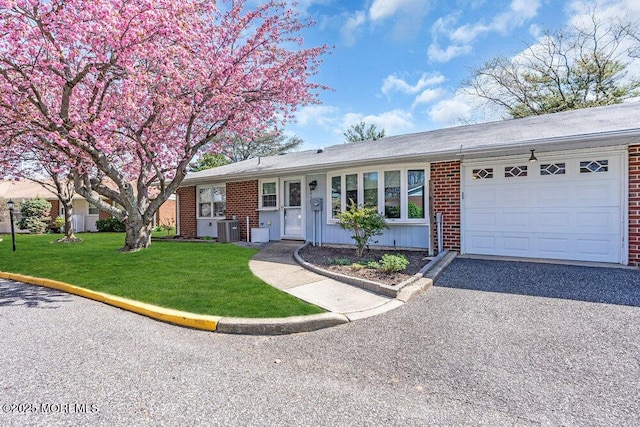 ranch-style house featuring central AC unit, an attached garage, driveway, brick siding, and a front yard