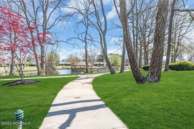 view of home's community with a lawn and a water view
