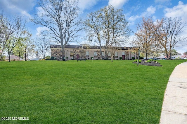 view of front of house featuring stone siding and a front yard